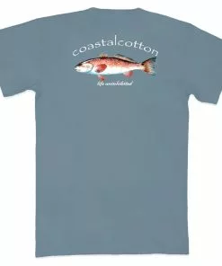 Coupon 🤩 Coastal Cotton Red Fish Teal Short Sleeve T-Shirt 😍