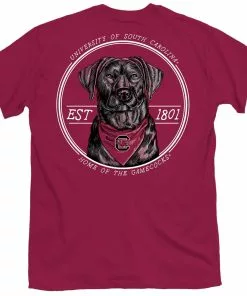 Outlet ✔️ Palmetto 👕 Shirt Co. Gamecocks Bandana Lab T-Shirt ❤️